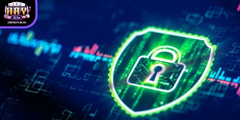 Chính sách bảo mật Haywin về quyền khiếu của người tham gia cá cược